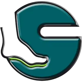 Sensoped log for Franz Seidl GmbH - ein grüner Buchstabe 'S' im 3-D-Format, der untere linke Teil des Buchstabens in Form eines Fußes