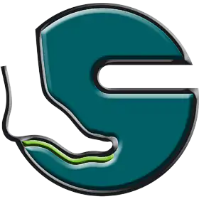Franz Seidl GmbH Sensoped log for Franz Seidl GmbH - ein grüner Buchstabe 'S' im 3-D-Format, der untere linke Teil des Buchstabens in Form eines Fußes